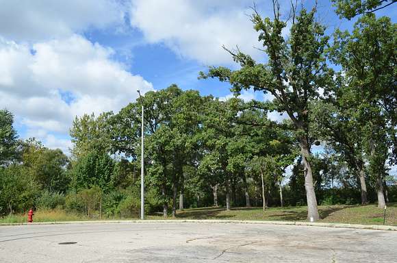 Looking Northwest from Cul-De-Sac