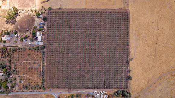 10 Acres of Agricultural Land for Sale in Terra Bella, California