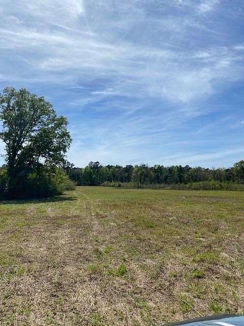 30.79 Acres of Recreational Land for Sale in Harleyville, South Carolina