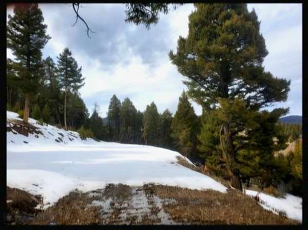 18.5 Acres of Recreational Land for Sale in Divide, Montana