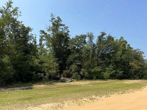 0.5 Acres of Mixed-Use Land for Auction in Cottondale, Florida