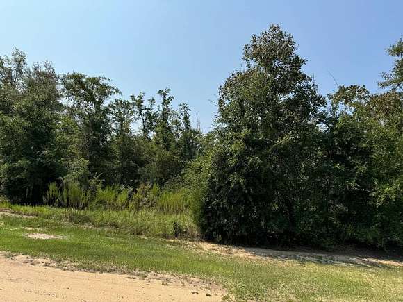 1 Acre of Mixed-Use Land for Auction in Cottondale, Florida