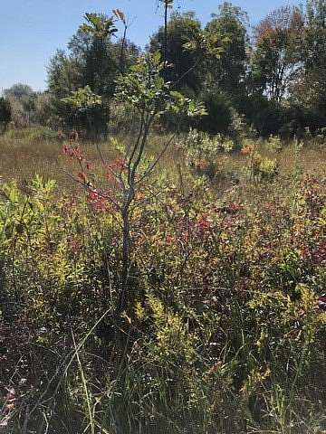 0.19 Acres of Land for Sale in Union, Michigan