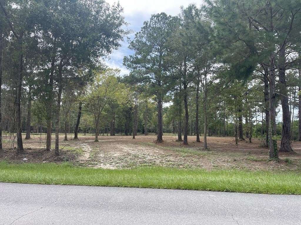 1 Acre of Residential Land for Sale in Wewahitchka, Florida