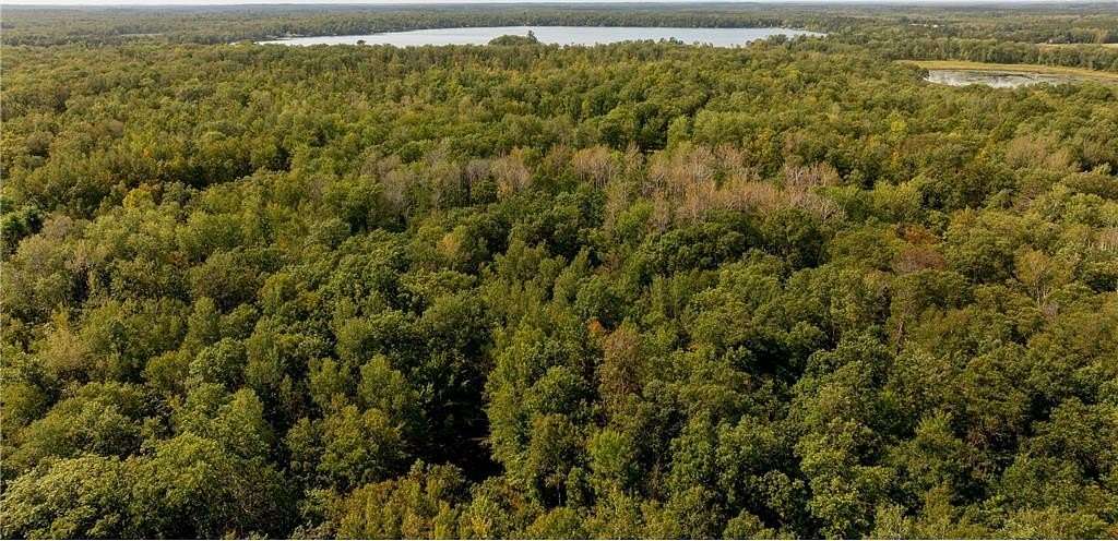 78.85 Acres of Recreational Land for Sale in Fairfield Township, Minnesota