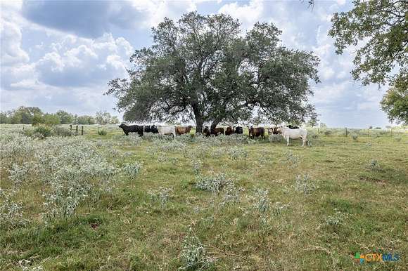 30.42 Acres of Land for Sale in Gonzales, Texas