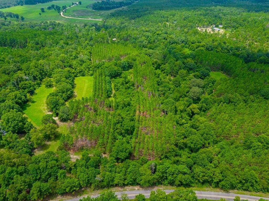 17 Acres of Land for Sale in Buena Vista, Georgia