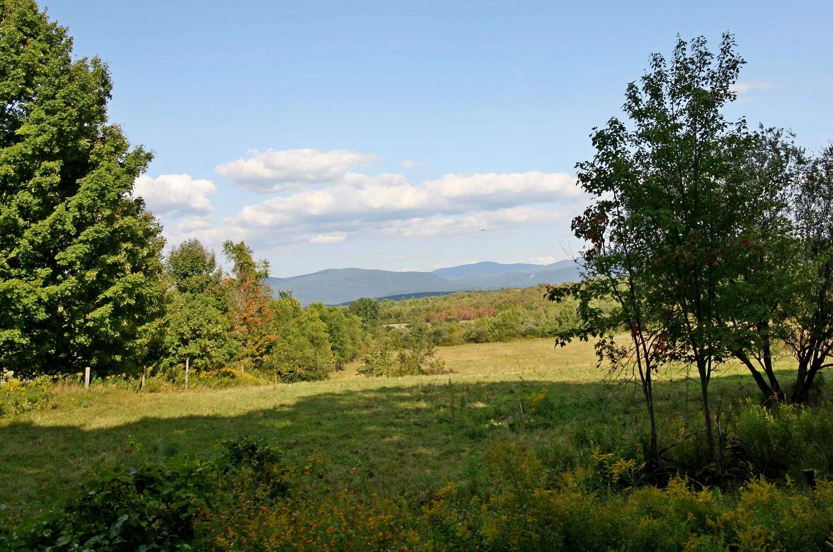 27.86 Acres of Agricultural Land for Sale in Whiting, Vermont