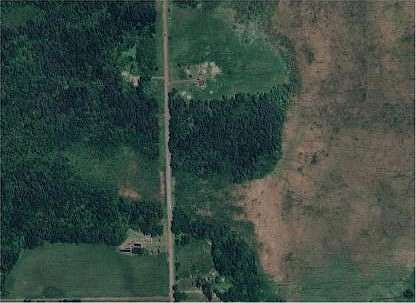 8.25 Acres of Land for Sale in Borgholm Township, Minnesota