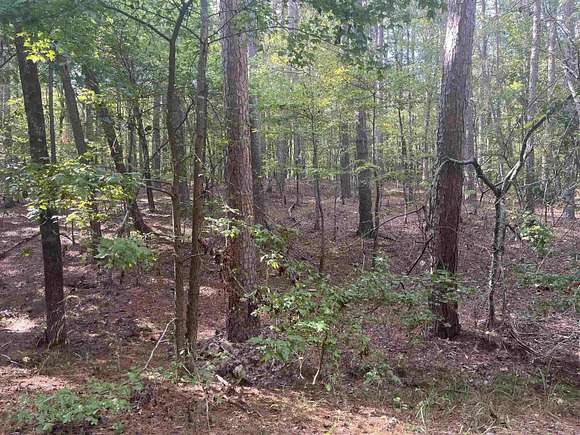 0.27 Acres of Residential Land for Sale in Hot Springs Village, Arkansas