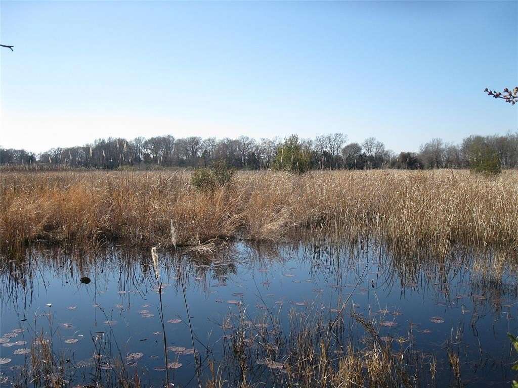 133.21 Acres of Recreational Land for Sale in Ben Wheeler, Texas