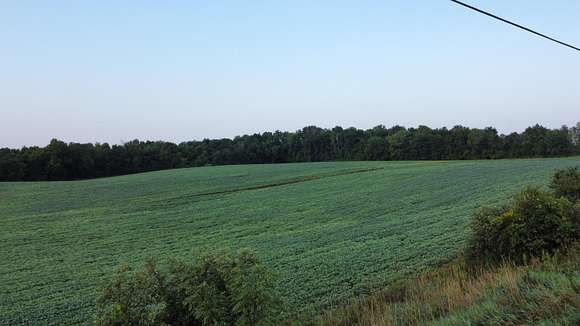 19.84 Acres of Recreational Land for Sale in Buchanan, Michigan