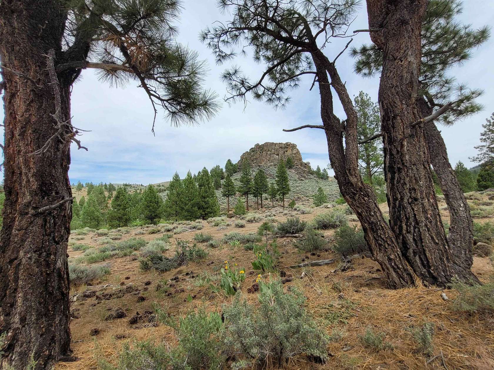 255 Acres of Recreational Land for Sale in Verdi, California