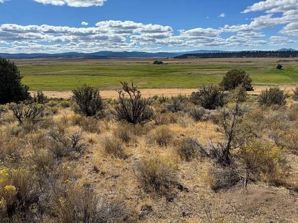 1.53 Acres of Residential Land for Sale in Beatty, Oregon