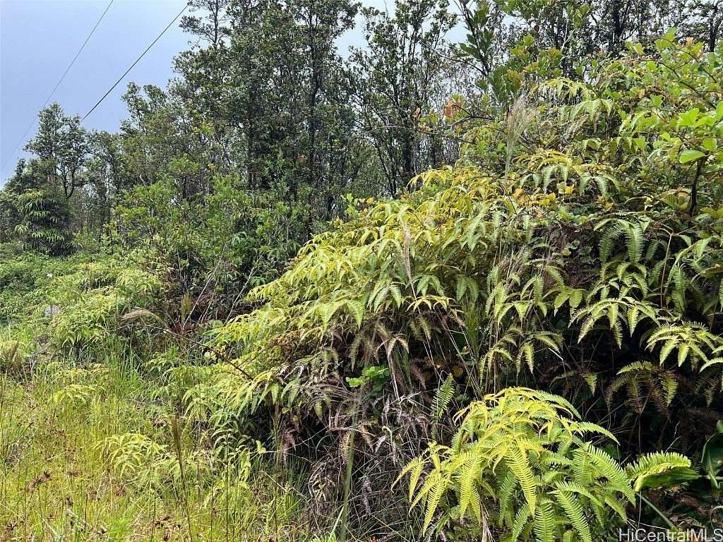 3 Acres of Residential Land for Sale in Volcano, Hawaii