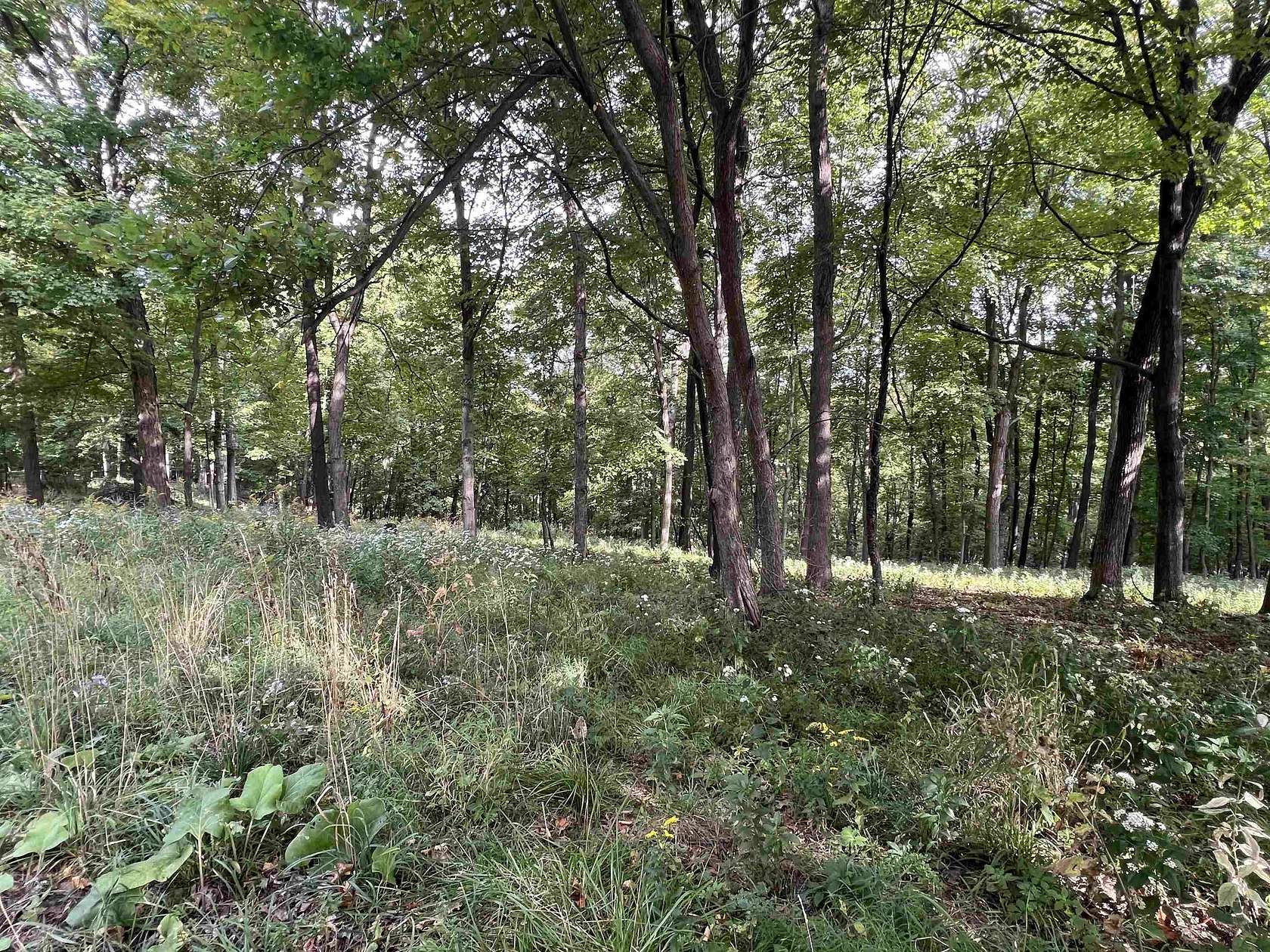 10.64 Acres of Recreational Land for Sale in De Soto, Wisconsin