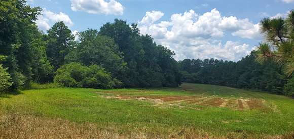 17 Acres of Land for Sale in Biscoe, North Carolina