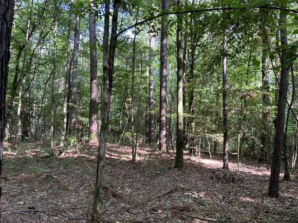 20 Acres of Recreational Land for Sale in Winnfield, Louisiana