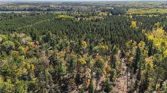 33.78 Acres of Recreational Land for Sale in Akeley, Minnesota