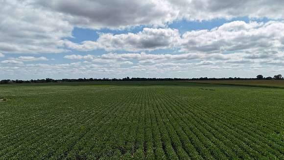 156 Acres of Agricultural Land for Auction in Tyndall, South Dakota