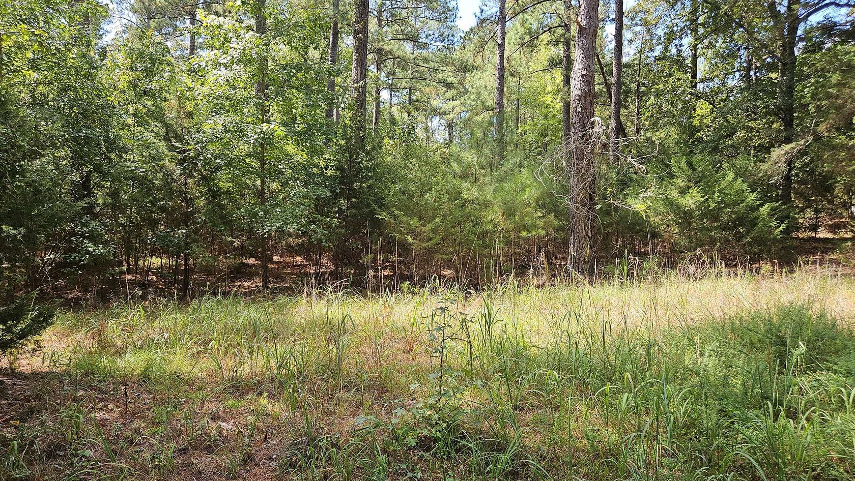 0.3 Acres of Land for Sale in Lincolnton, Georgia