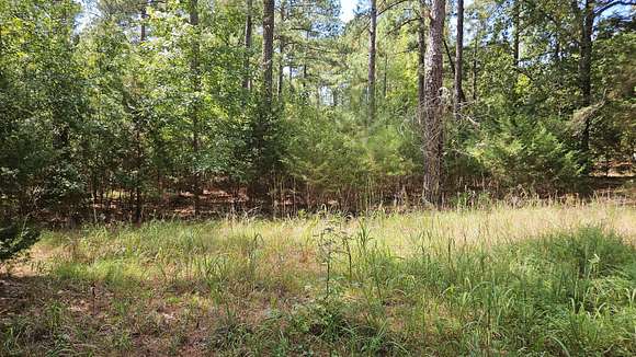 0.6 Acres of Residential Land for Sale in Lincolnton, Georgia