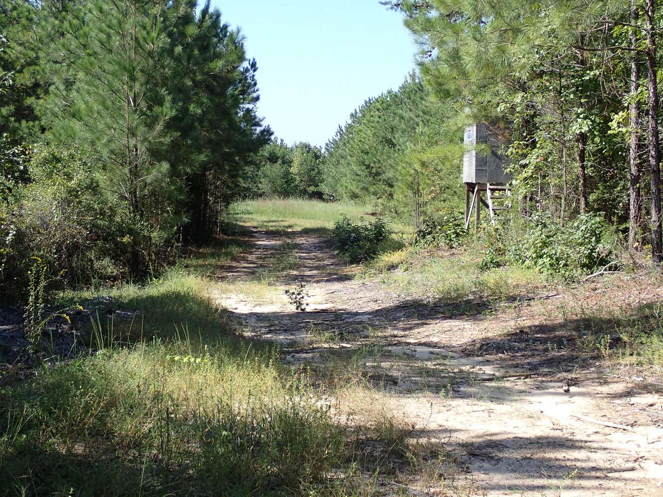 70 Acres of Recreational Land for Sale in Brookwood, Alabama