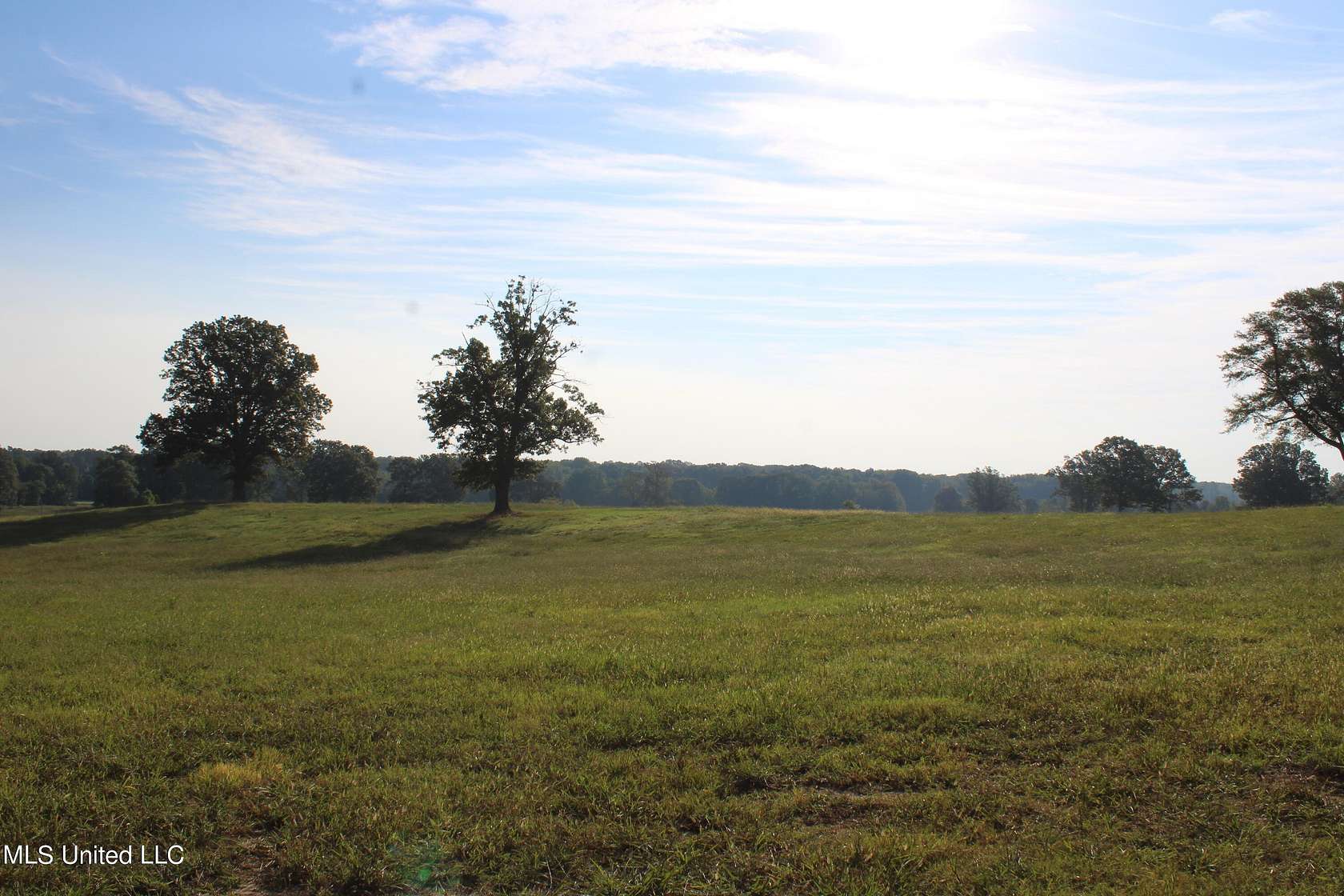 13.5 Acres of Land for Sale in Byhalia, Mississippi