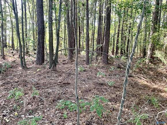 9.03 Acres of Land for Sale in Elkmont, Alabama