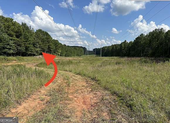 26 Acres of Recreational Land for Sale in Newnan, Georgia