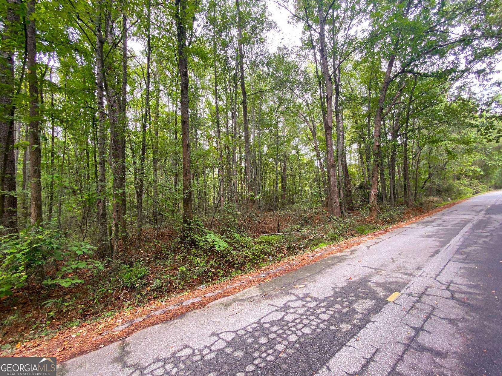 1.9 Acres of Residential Land for Sale in Social Circle, Georgia