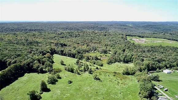 171.32 Acres of Recreational Land & Farm for Sale in Parksville, New York