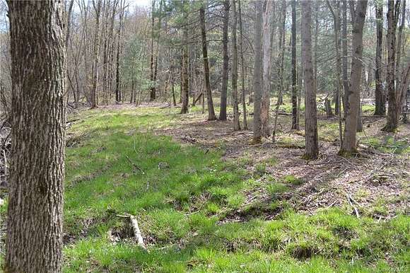 4.92 Acres of Residential Land for Sale in Hurleyville, New York