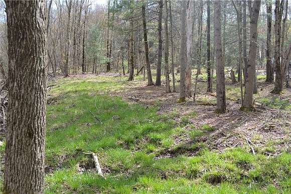 4.92 Acres of Residential Land for Sale in Liberty, New York