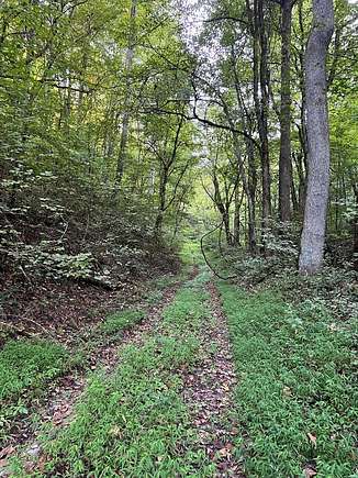 50.55 Acres of Recreational Land for Sale in Pikeville, Kentucky