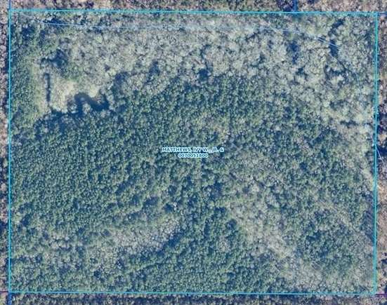 51.75 Acres of Land for Sale in Robeline, Louisiana