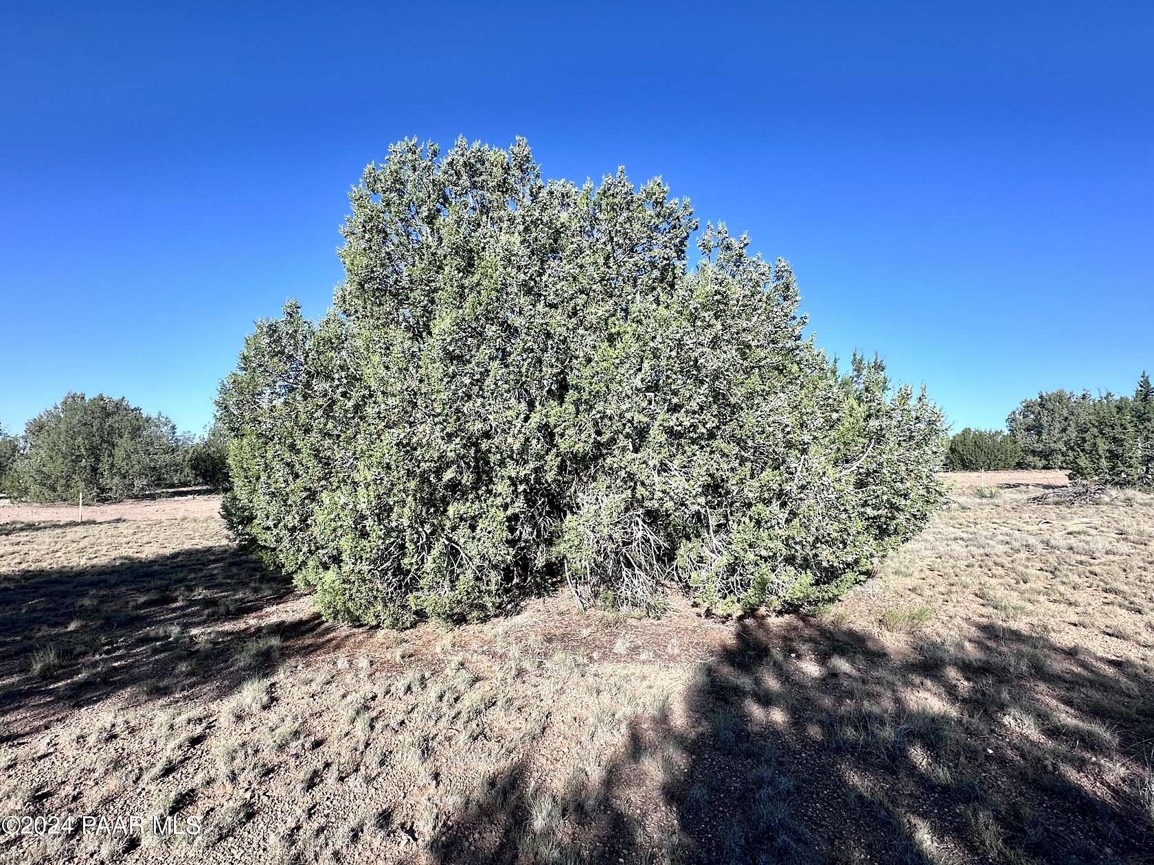 10.07 Acres of Land for Sale in Seligman, Arizona