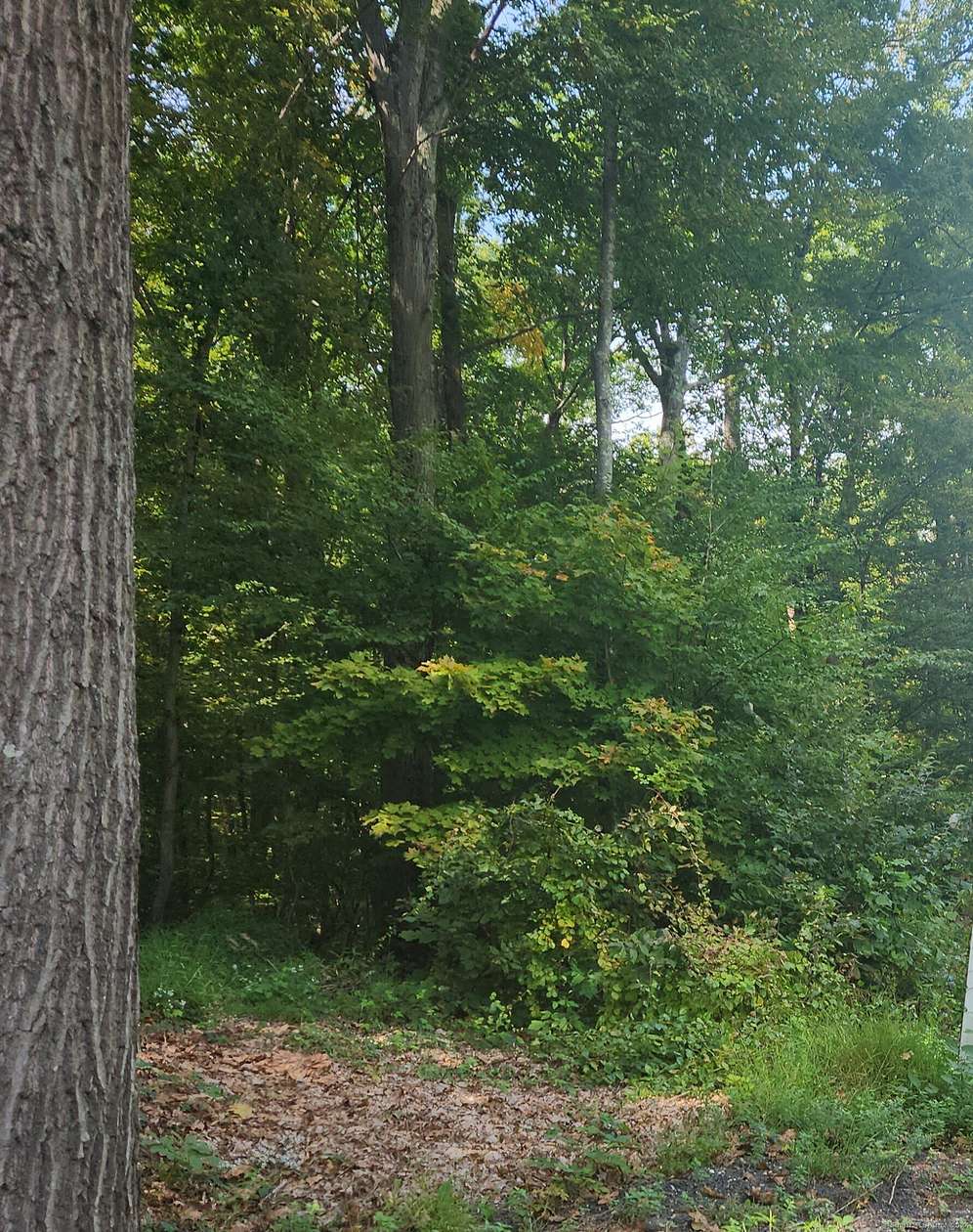 4.6 Acres of Residential Land for Sale in Cheshire, Connecticut