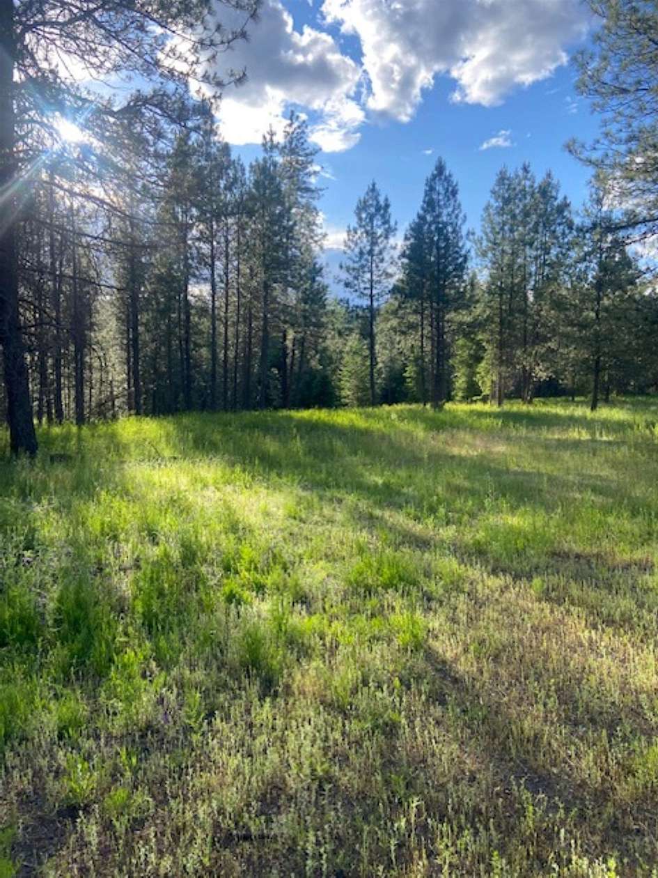 7 Acres of Residential Land for Sale in Deer Park, Washington