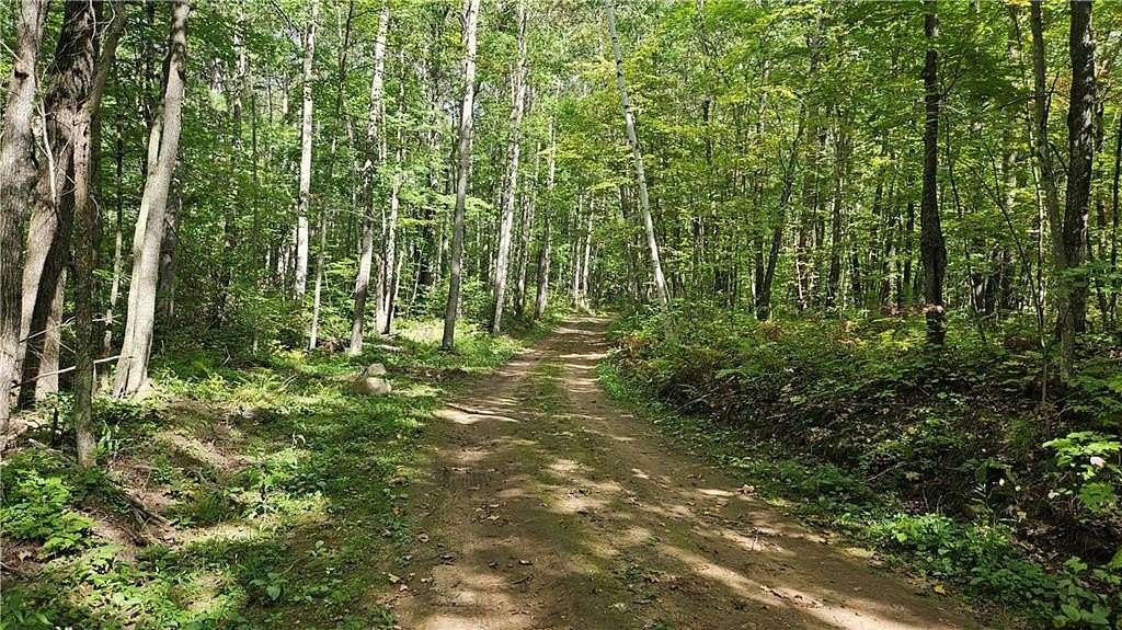 10.892 Acres of Recreational Land for Sale in Hayward, Wisconsin