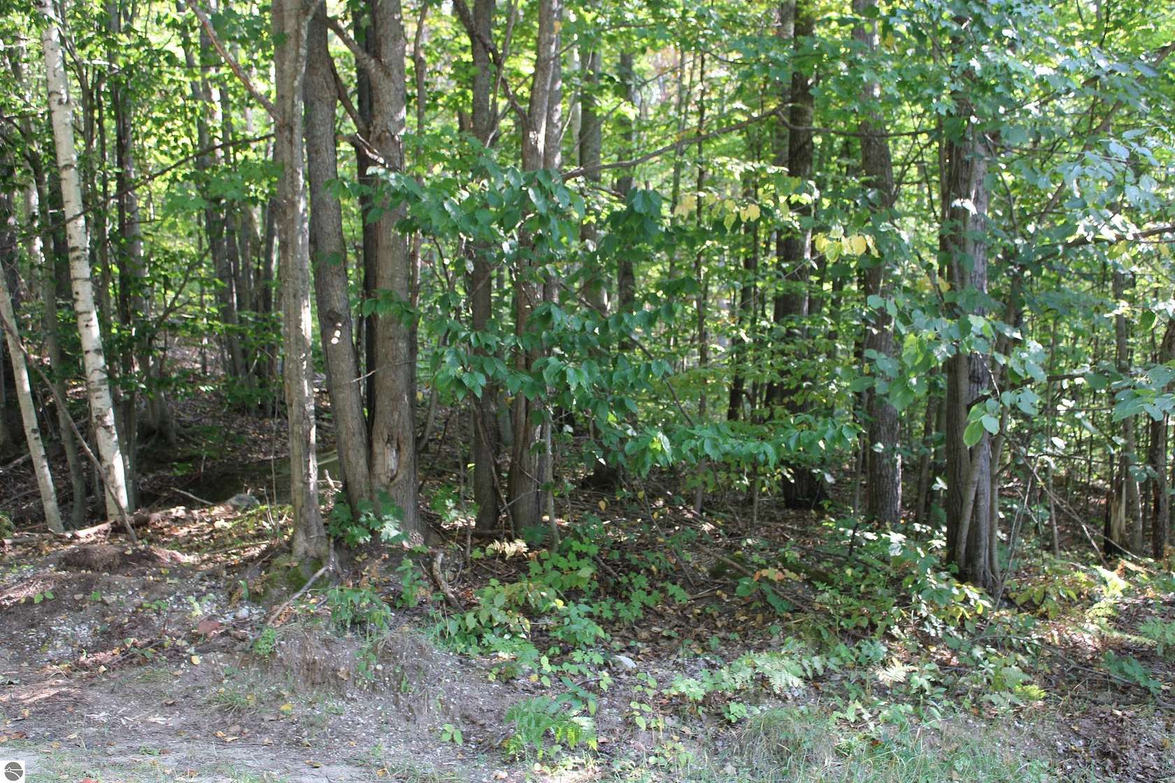 0.3 Acres of Land for Sale in Kalkaska, Michigan