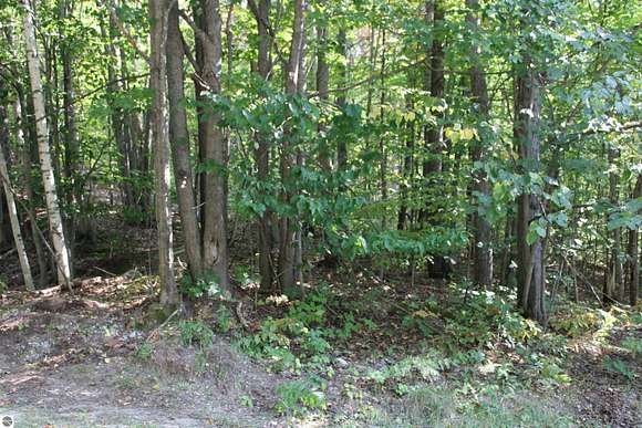 0.3 Acres of Land for Sale in Kalkaska, Michigan