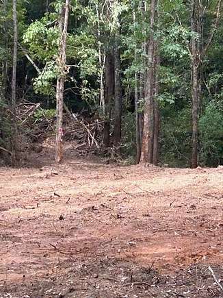 2.44 Acres of Residential Land for Sale in Dalzell, South Carolina