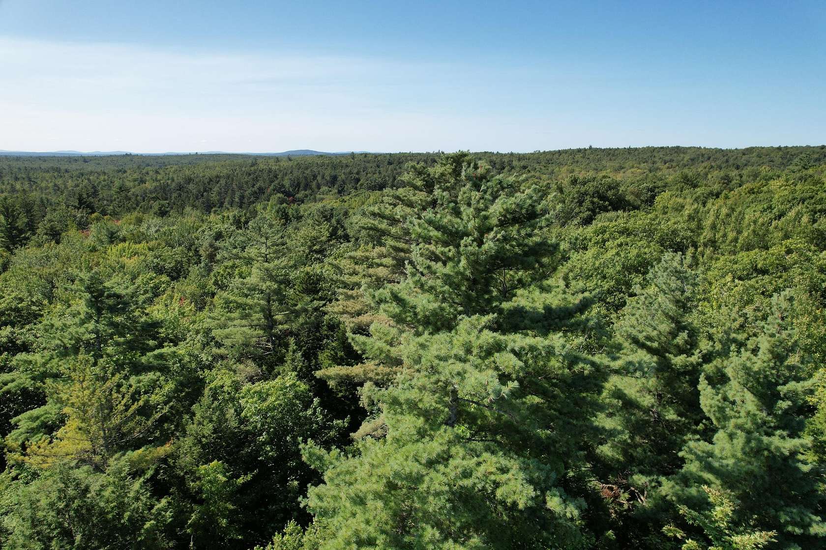 51.5 Acres of Recreational Land for Sale in Alexander, Maine