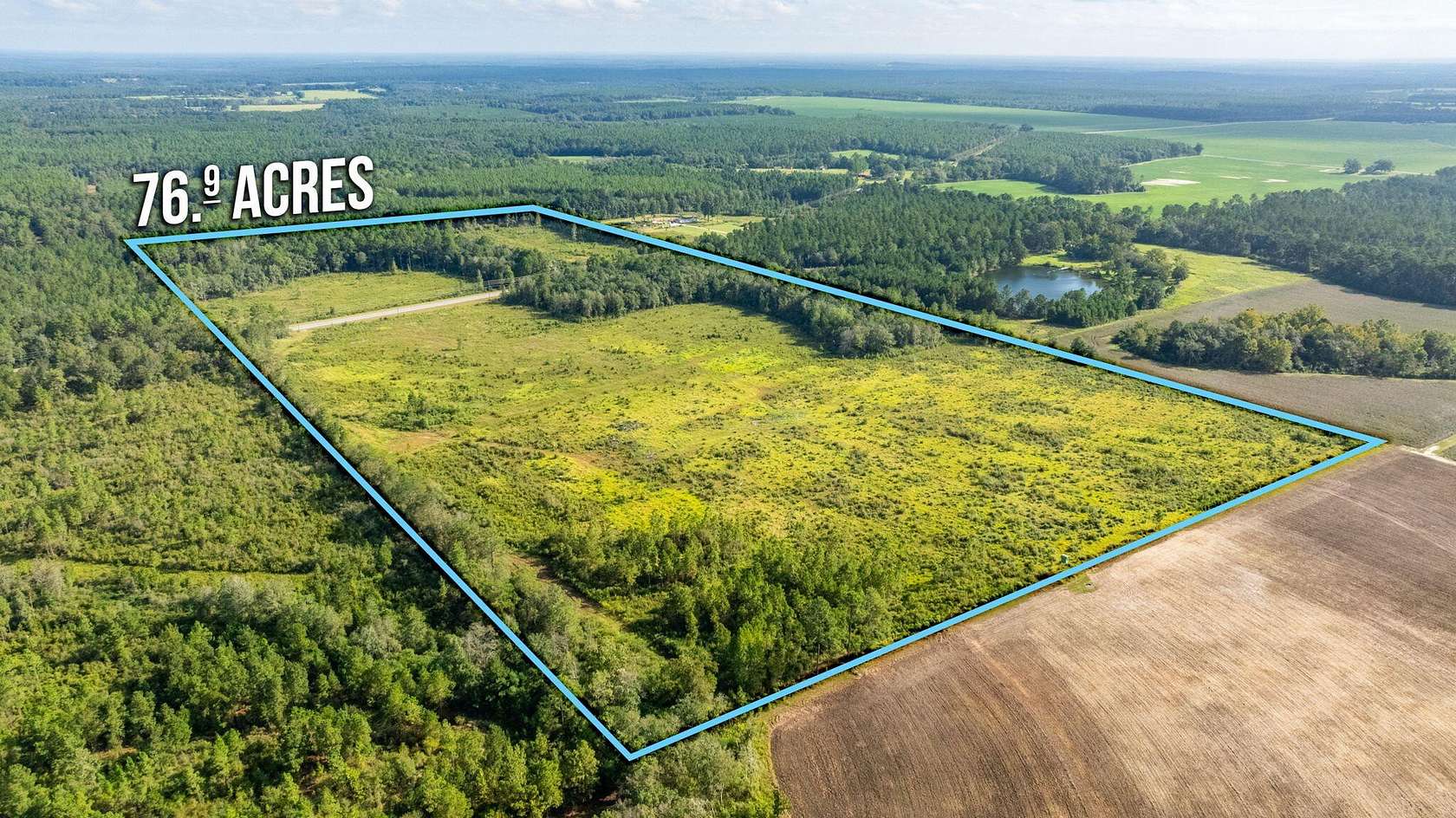 76.9 Acres of Agricultural Land for Sale in DeFuniak Springs, Florida