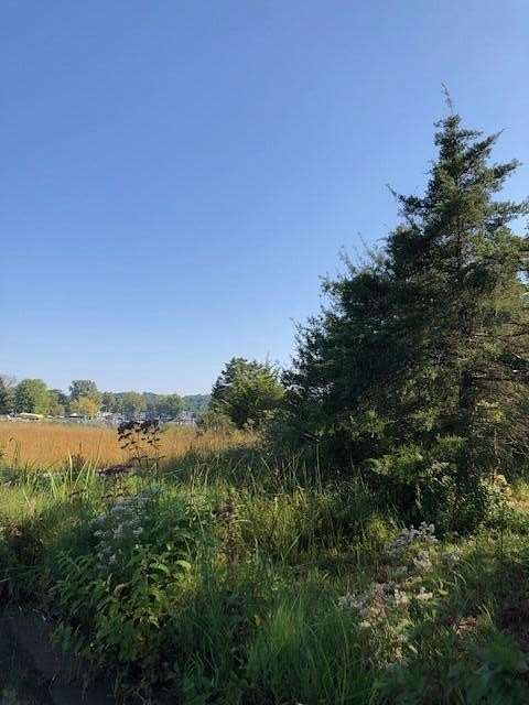 0.23 Acres of Land for Sale in Union, Michigan