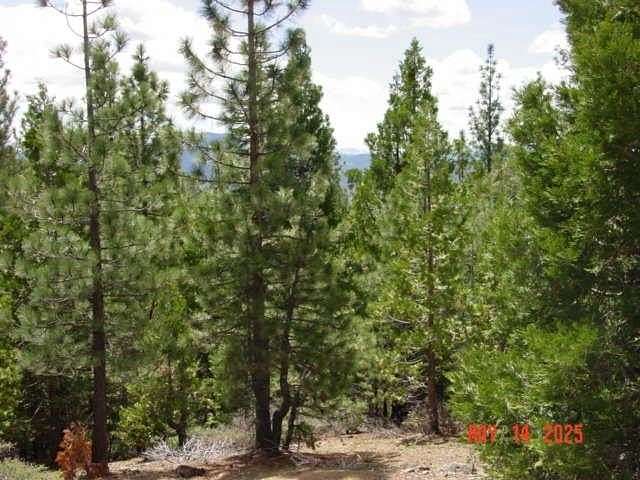 5 Acres of Residential Land for Sale in Lake Davis, California