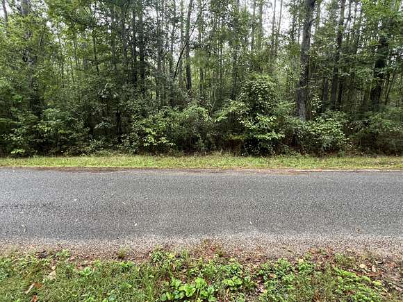 16 Acres of Recreational Land for Sale in Brooklyn, Mississippi