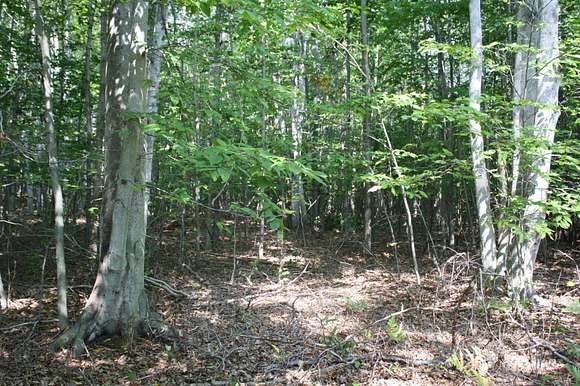 40 Acres of Recreational Land for Sale in Lincoln, Michigan