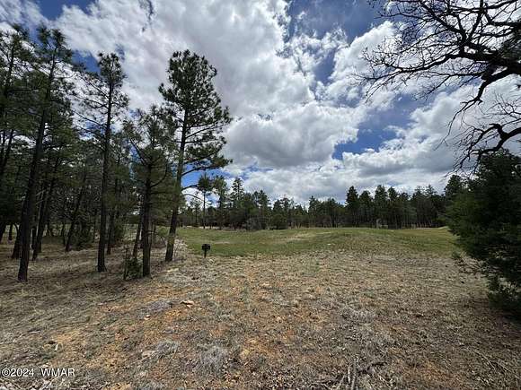 0.4 Acres of Residential Land for Sale in Show Low, Arizona